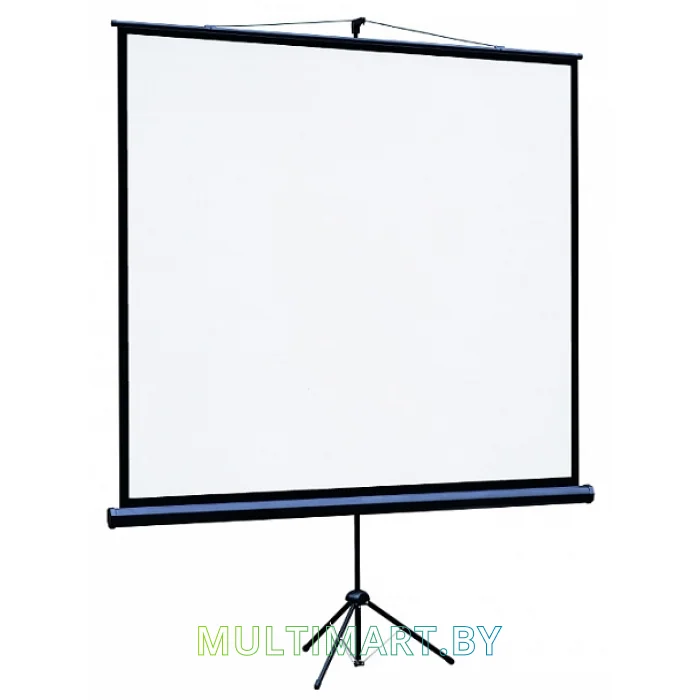 Проекционный экран Lumien Eco View 128x171 (LEV-100110)